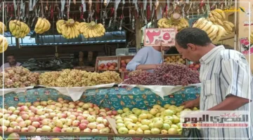 تخالف التوقعات.. أسعار التفاح والموز والفاكهة اليوم في الأسواق هل تشهد استقرارًا أم ارتفاعًا؟ 1